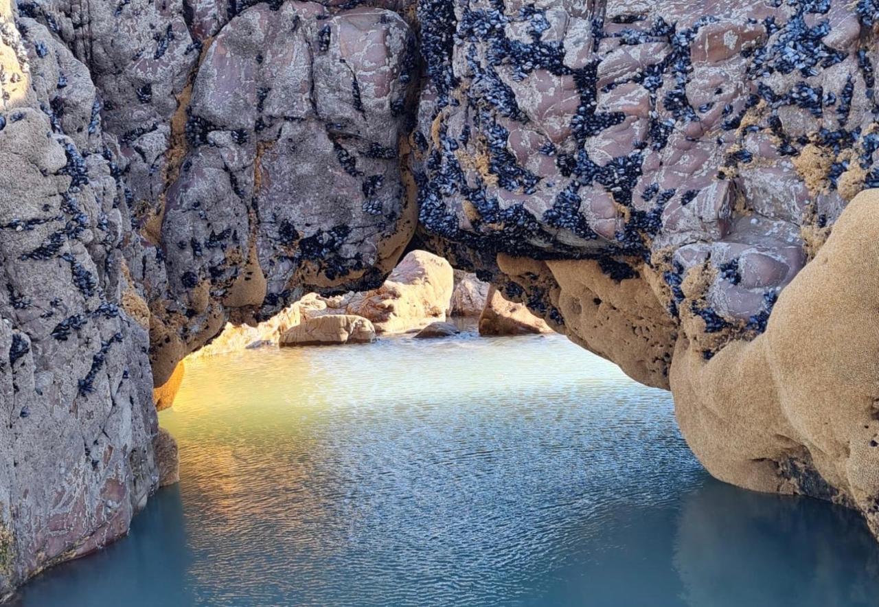 Rockpool - بود المظهر الخارجي الصورة